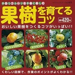 果樹を育てるコツ