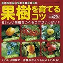果樹を育てるコツ