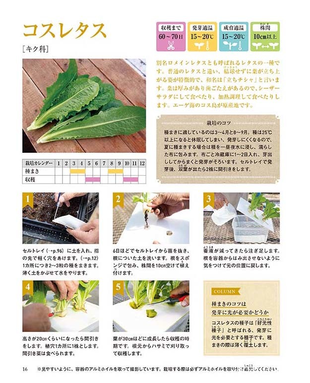 野菜とハーブの水耕栽培 本の情報 ブティック社 野菜とハーブの水耕栽培 本の情報 ブティック社
