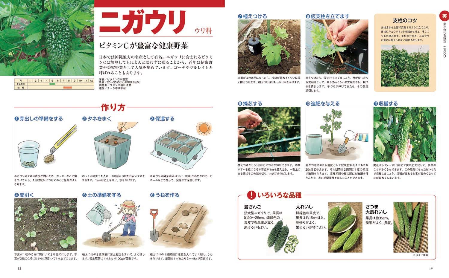 野菜作り百科 新装版 本の情報 ブティック社