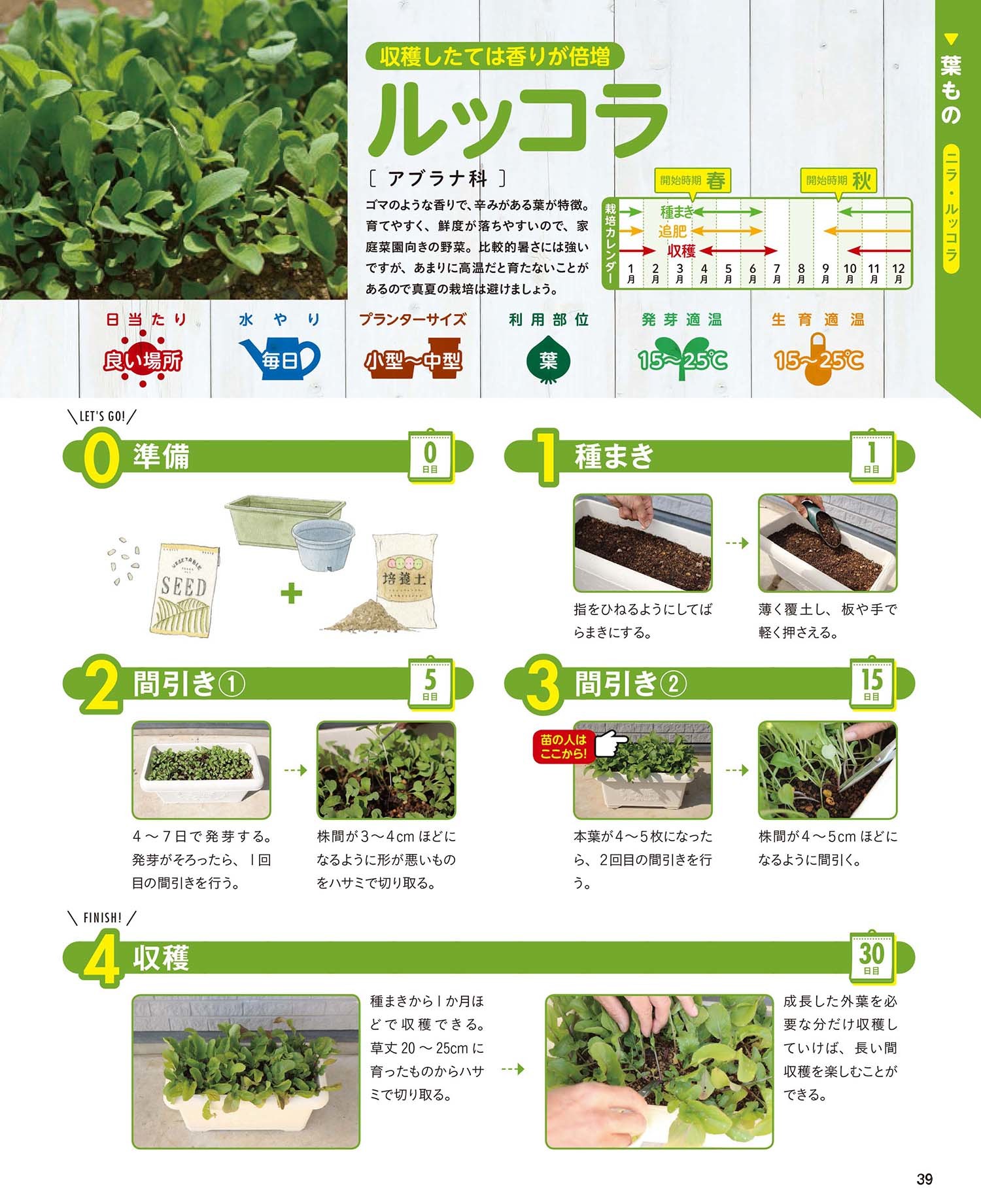 だれでもできるプランター菜園 本の情報 ブティック社 だれでもできるプランター菜園 本の情報 ブティック社