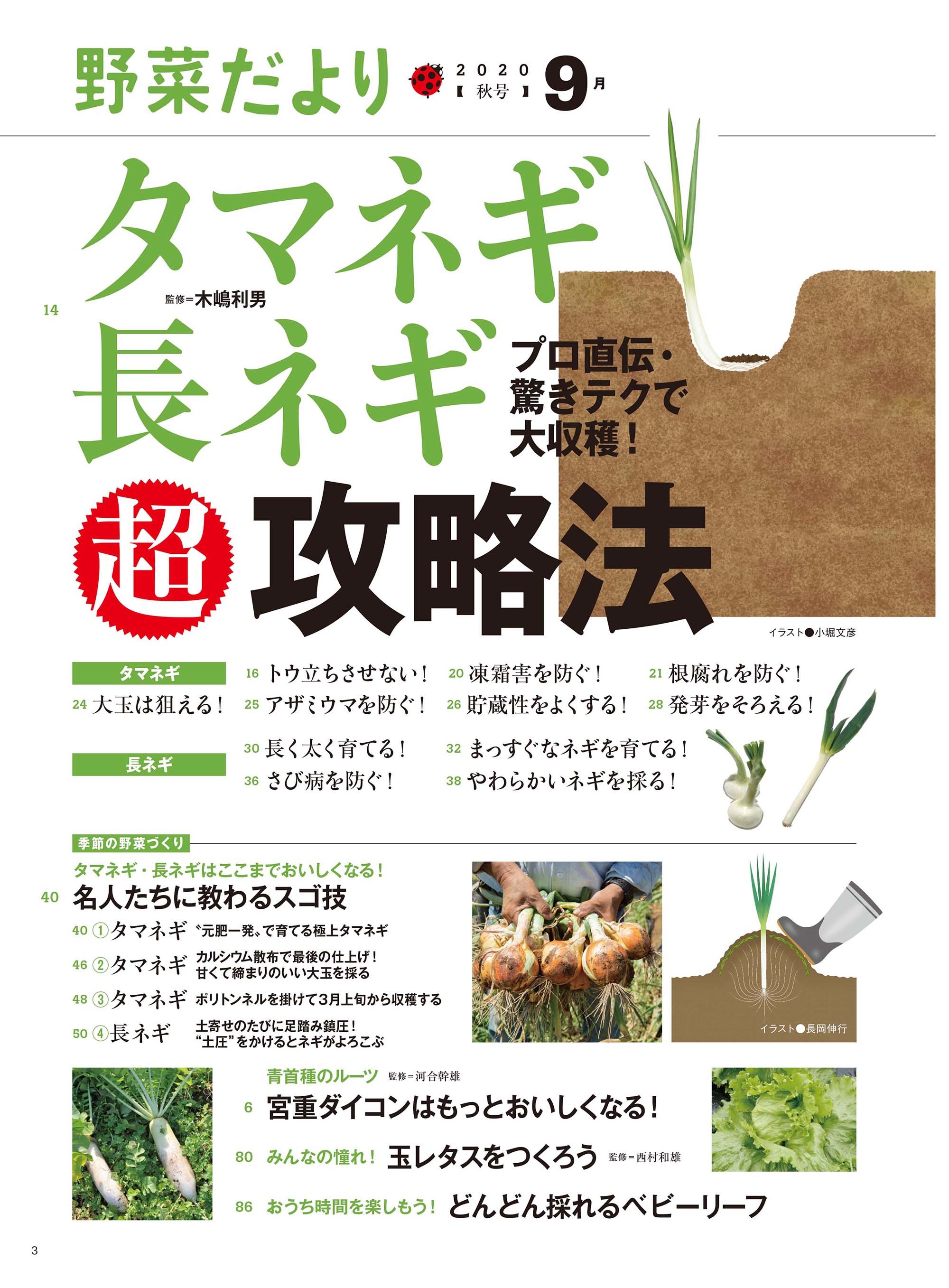 野菜だより年9月号 本の情報 ブティック社