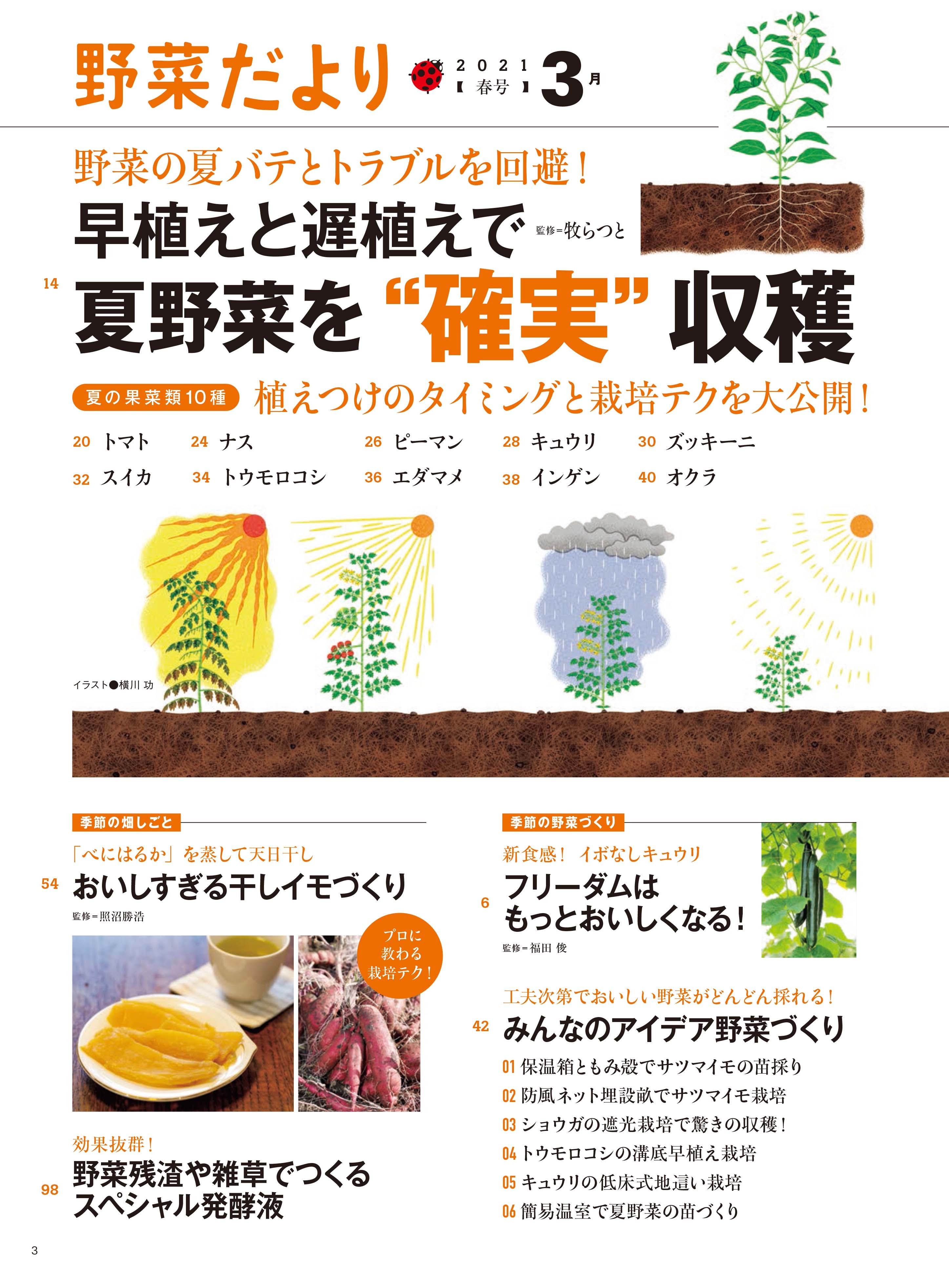 野菜だより21年3月号 本の情報 ブティック社 野菜だより21年3月号 本の情報 ブティック社