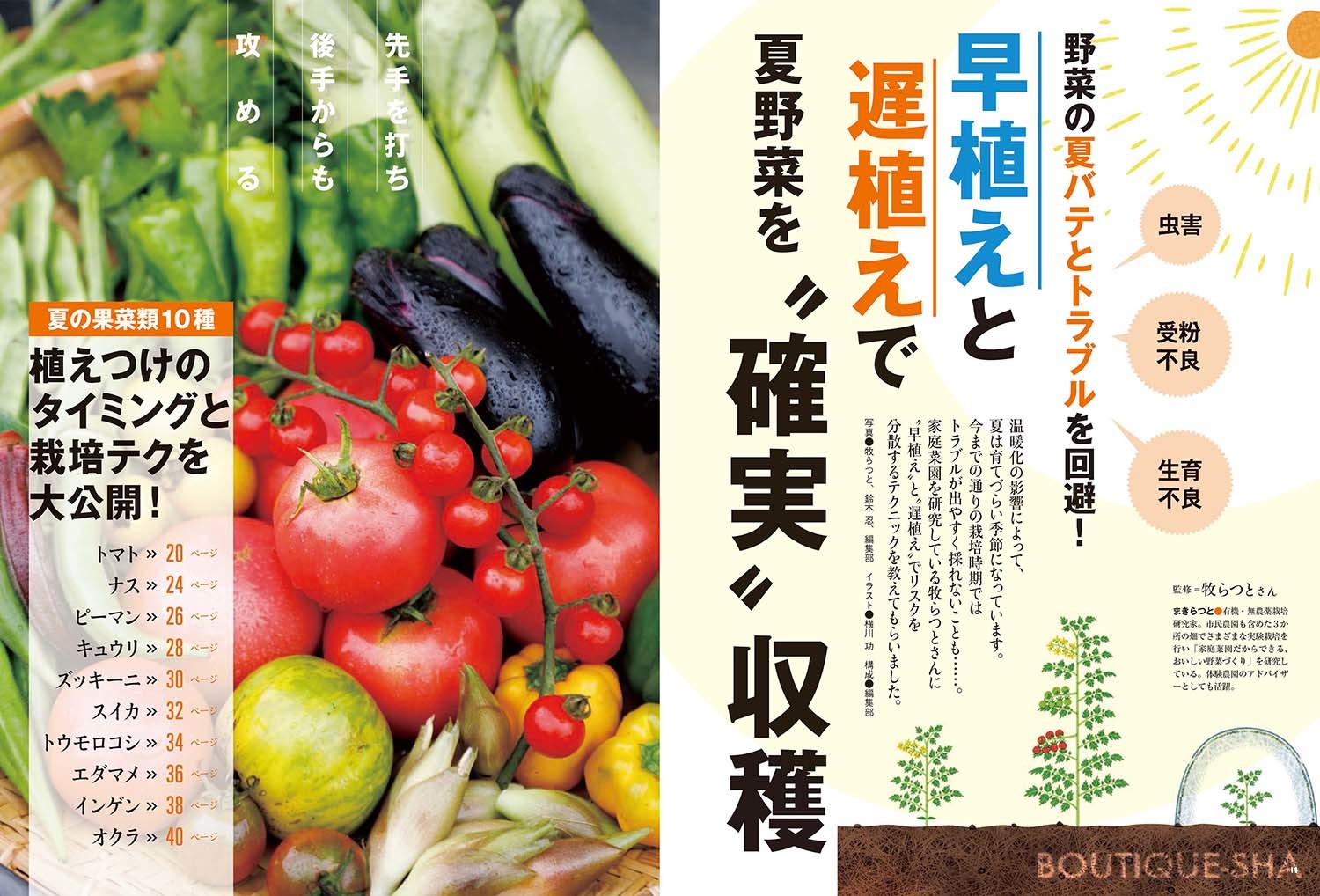 野菜だより21年3月号 本の情報 ブティック社 野菜だより21年3月号 本の情報 ブティック社