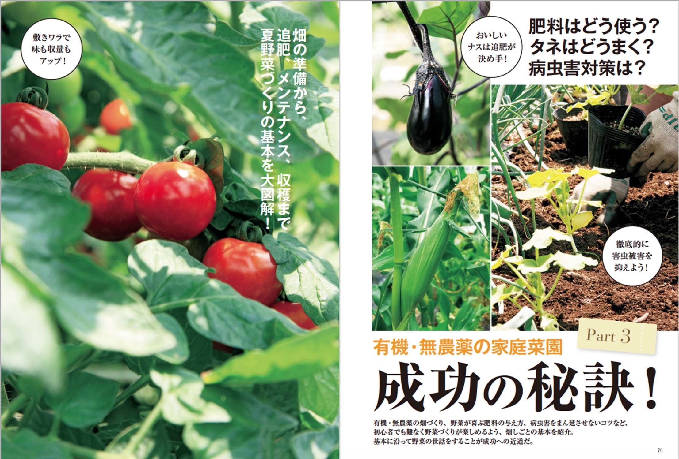 夏野菜づくり 超基本とコツのコツ 21年版 野菜だより21年5月号増刊 本の情報 ブティック社