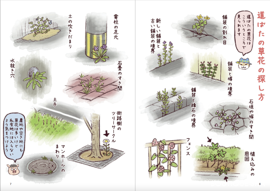 道ばたの小さな草花図鑑 本の情報 ブティック社