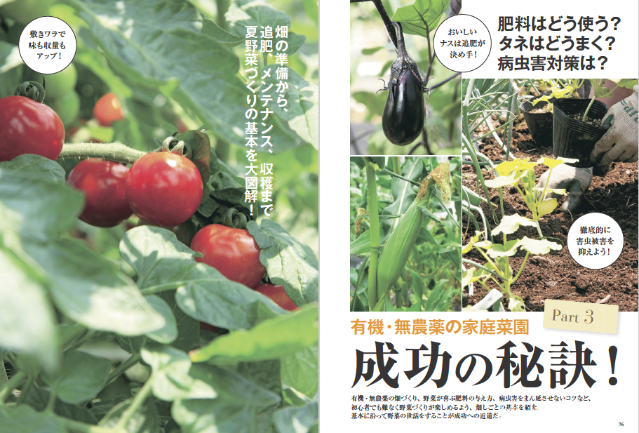 夏野菜づくり 超基本とコツのコツ 22年版 野菜だより22年4月号増刊 本の情報 ブティック社