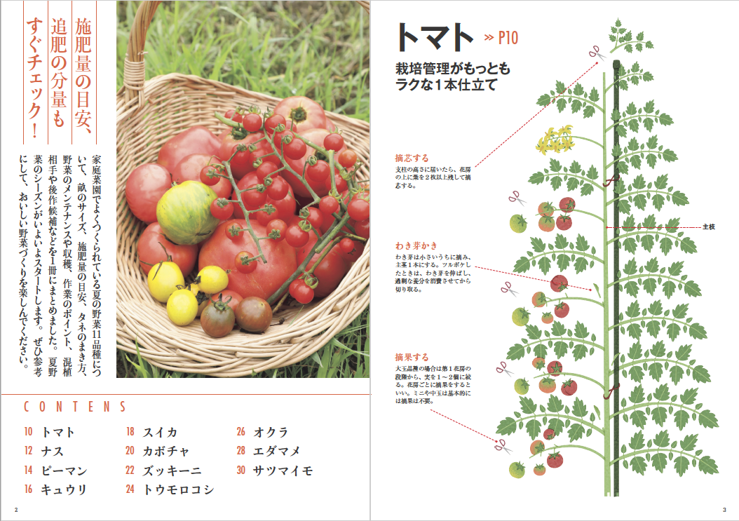 野菜だより22年5月号 本の情報 ブティック社