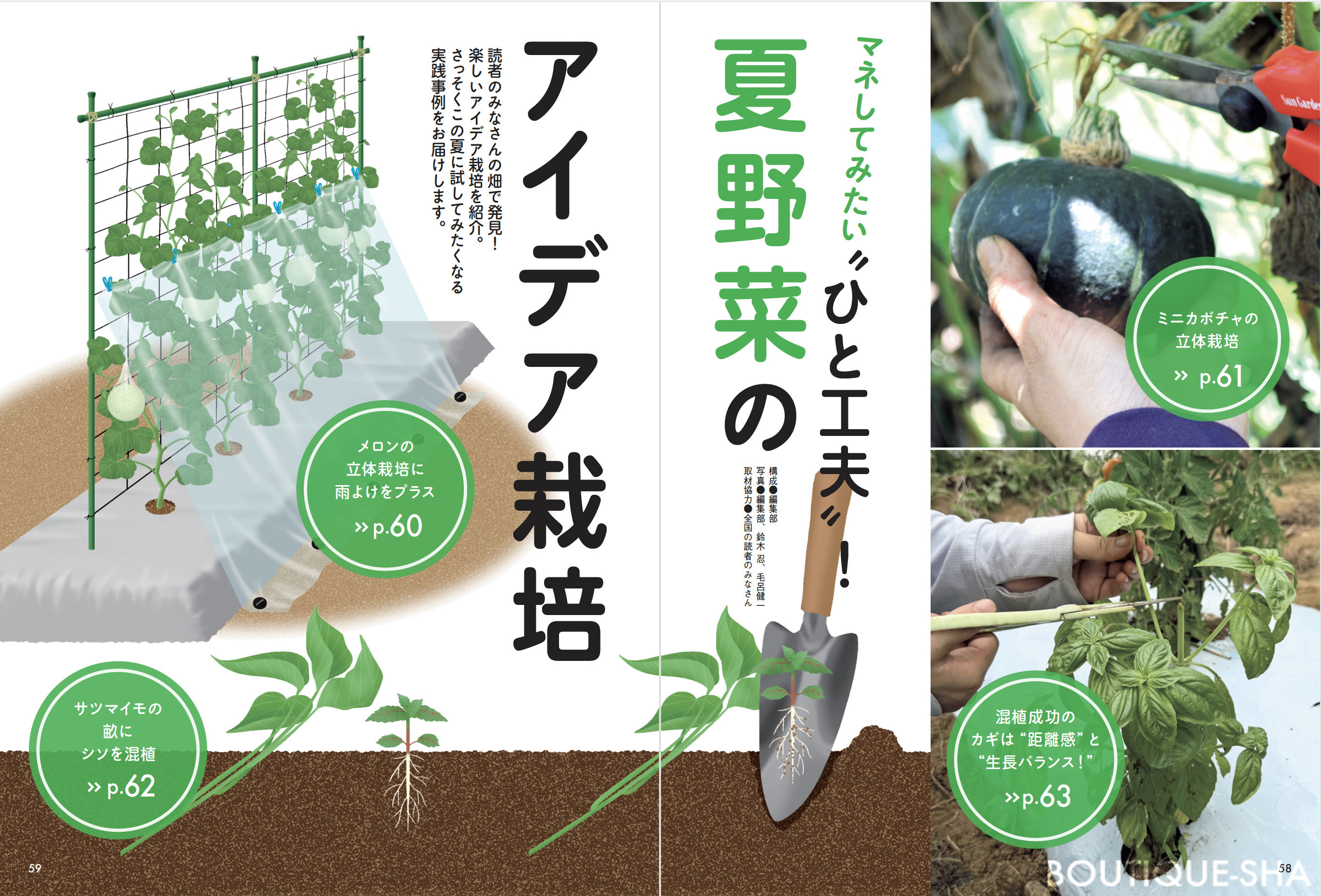 野菜だより2026年3月春号 | 本の情報 | ブティック社