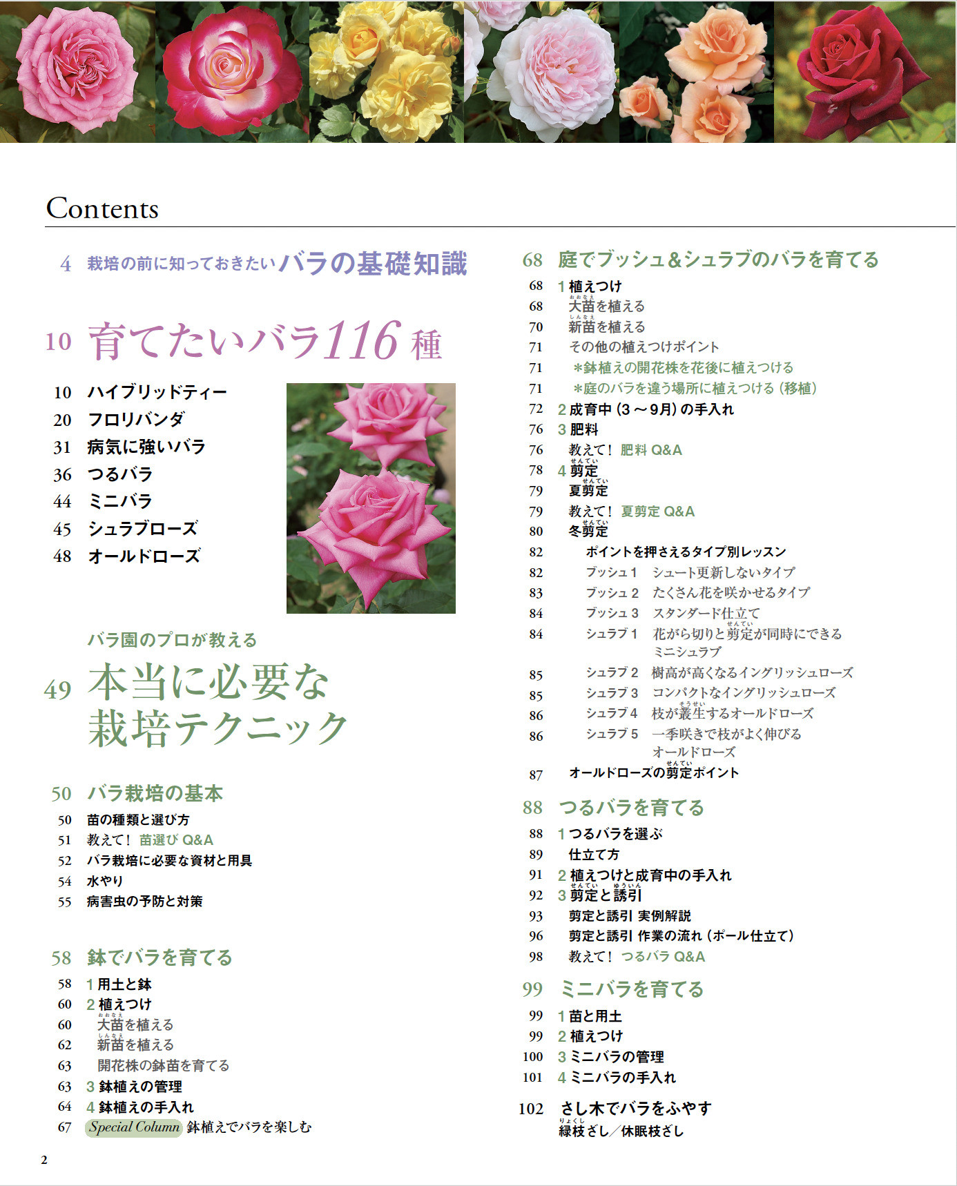 増補改訂版 プロが教える バラのすべて | 本の情報 | ブティック社