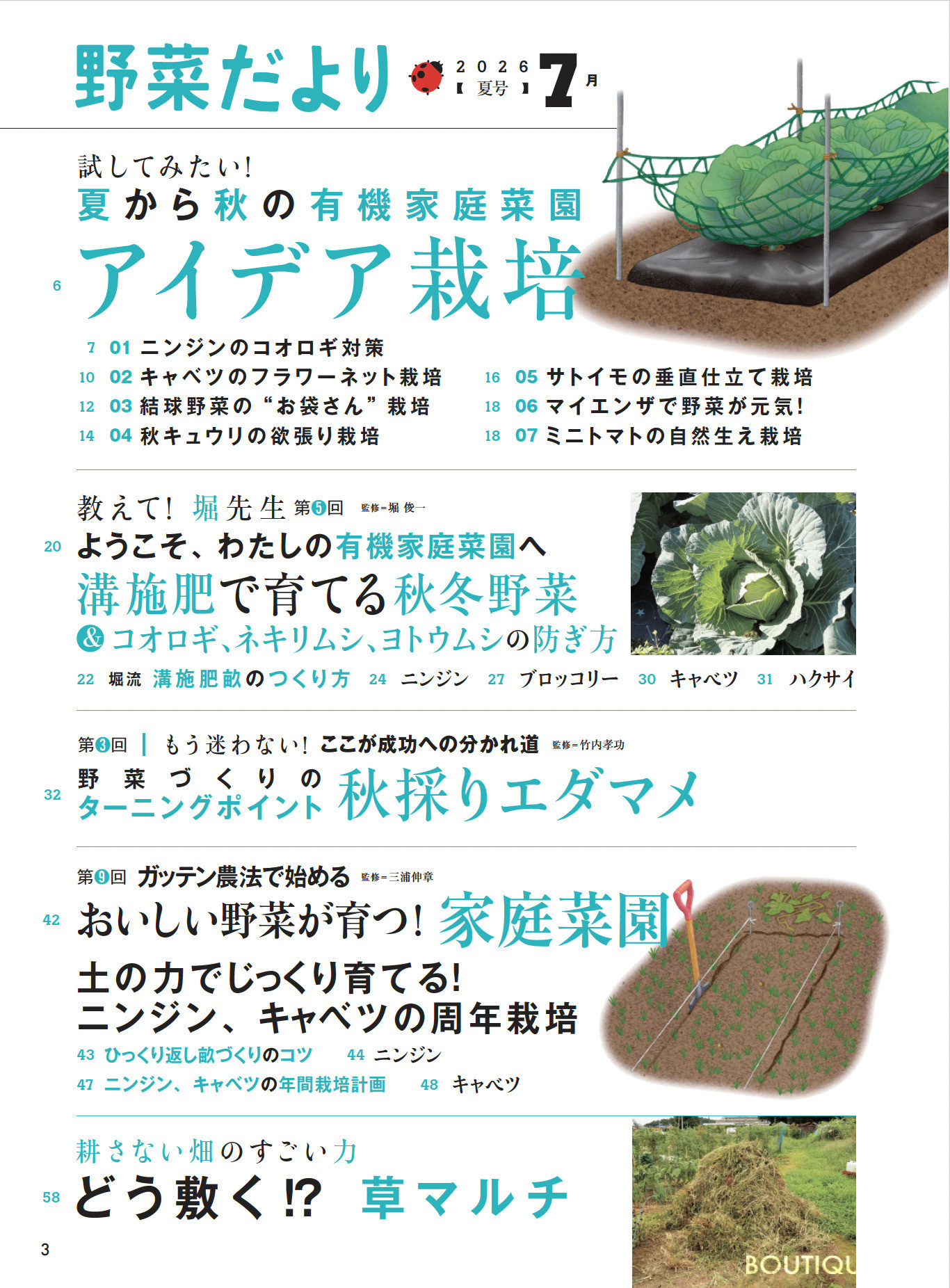 野菜だより2026年7月夏号 | 本の情報 | ブティック社