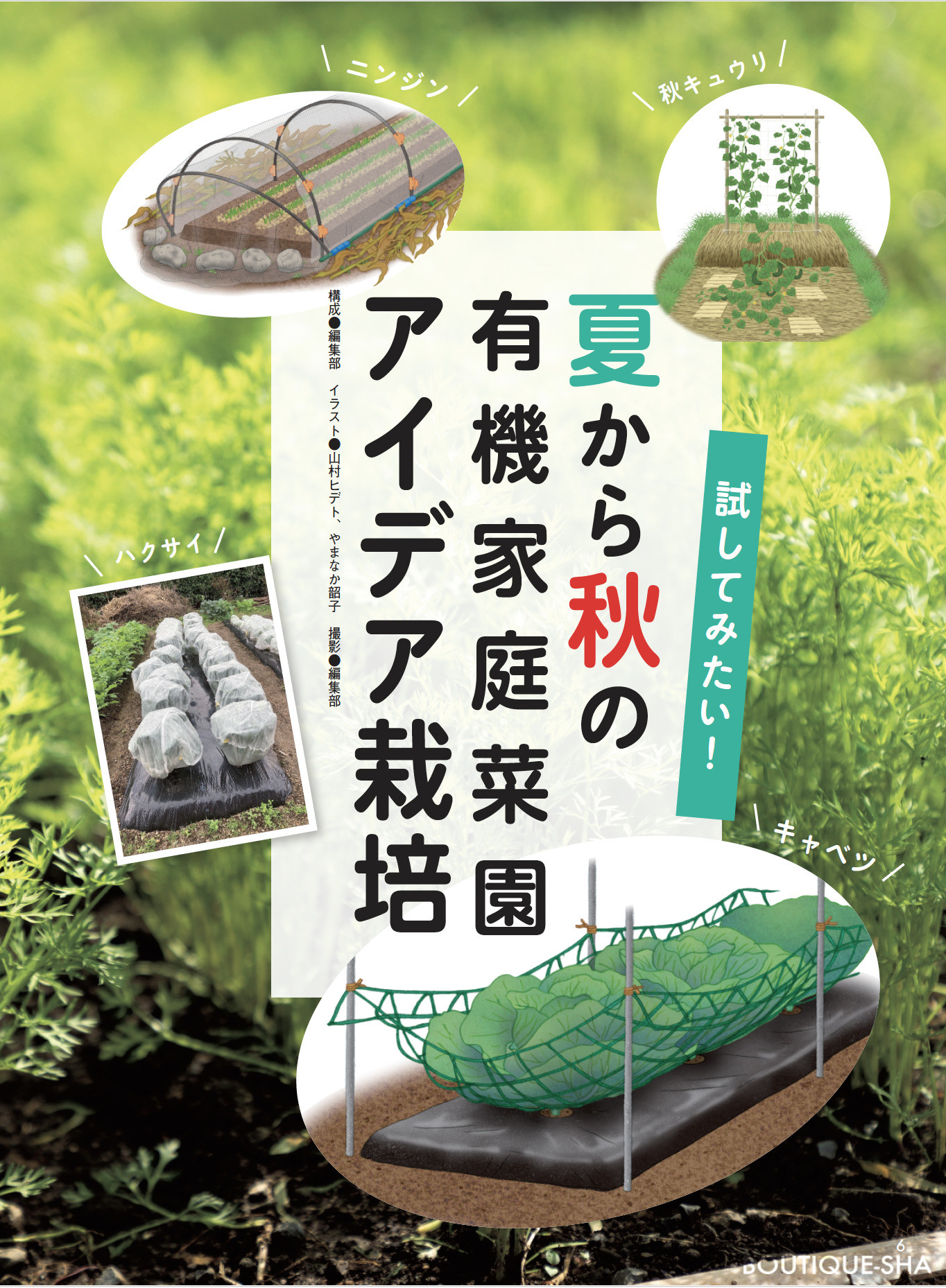 野菜だより2026年7月夏号 | 本の情報 | ブティック社