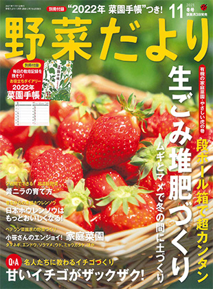野菜だより21年11月号 本の情報 ブティック社