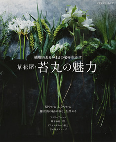 草花屋・苔丸の魅力