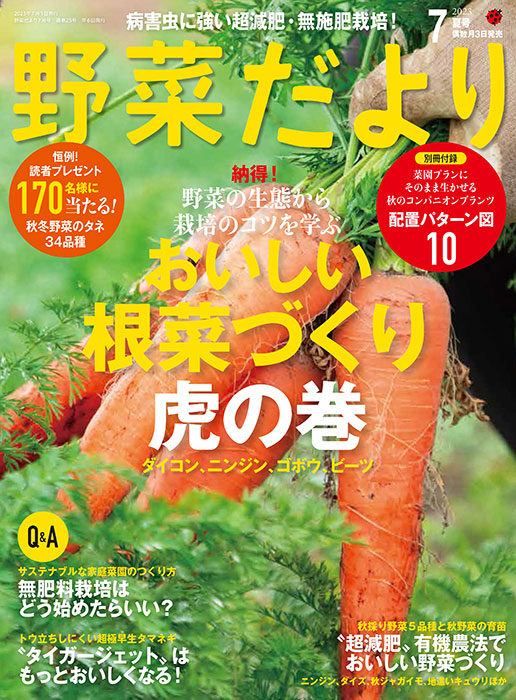 2023年 野菜の種その他