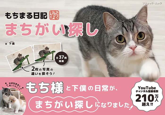 もちまる日記 まちがい探し | 本の情報 | ブティック社