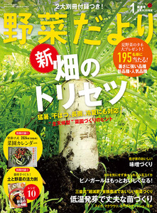 野菜だより2024年1月新春号