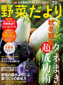 野菜だより2024年7月夏号
