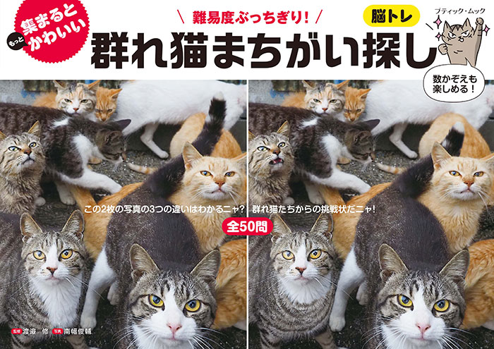 群れ猫まちがい探し | 本の情報 | ブティック社
