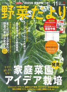野菜だより2024年11月冬号