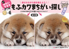 何ともかわいすぎる　もふカワまちがい探し