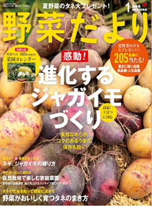 野菜だより2025年1月新春号