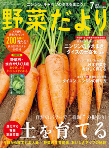 野菜だより2025年7月夏号