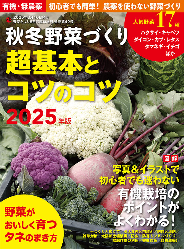 秋冬野菜づくり 超基本とコツのコツ 2025年版（野菜だより2025年8月号