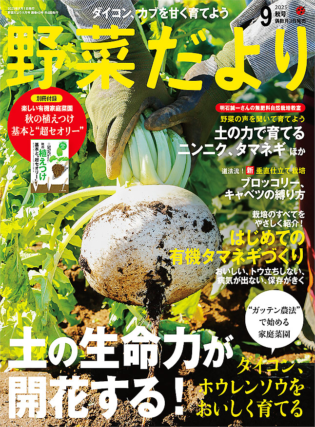 野菜だより2025年9月秋号 | 本の情報 | ブティック社