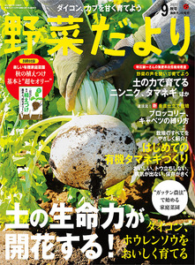 野菜だより2025年9月秋号