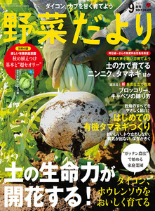野菜だより2025年9月秋号