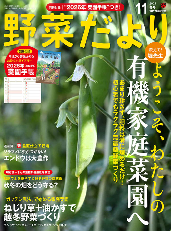 野菜だより2025年11月冬号 | 本の情報 | ブティック社