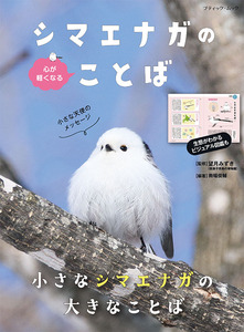 心が軽くなる シマエナガのことば