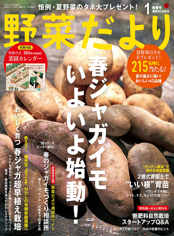 野菜ページ 野菜だより2026年1月新春号 | 本の情報 | ブティック社