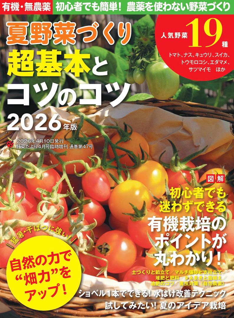 夏野菜づくり超基本とコツのコツ2026年版（野菜だより2026年4月号増刊