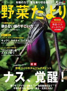 野菜だより2026年5月初夏号