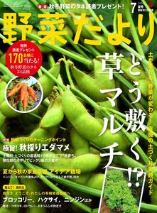 野菜だより2026年7月夏号