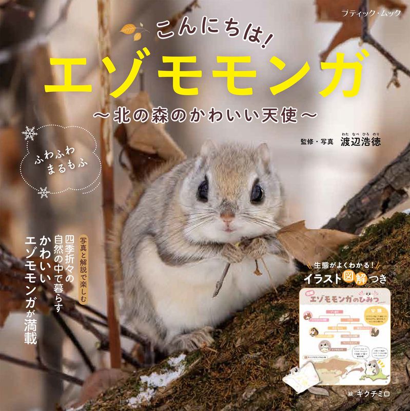 こんにちは！エゾモモンガ | 本の情報 | ブティック社