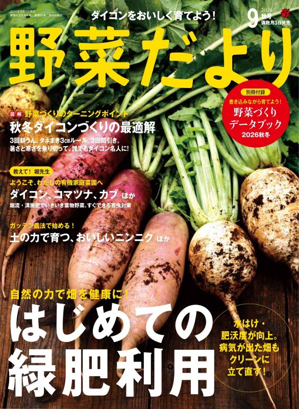 季節の野菜 野菜だより2026年9月秋号 | 本の情報 | ブティック社