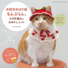 「お散歩大好き猫もんぶらん」とかぎ針編みのおめかしニット